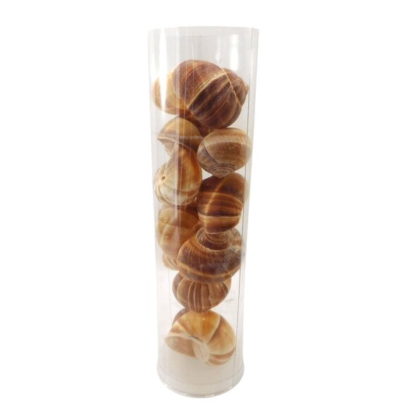 12 Escargot Snail 2" Baking Shells - Never Used - Picture 1 of 4